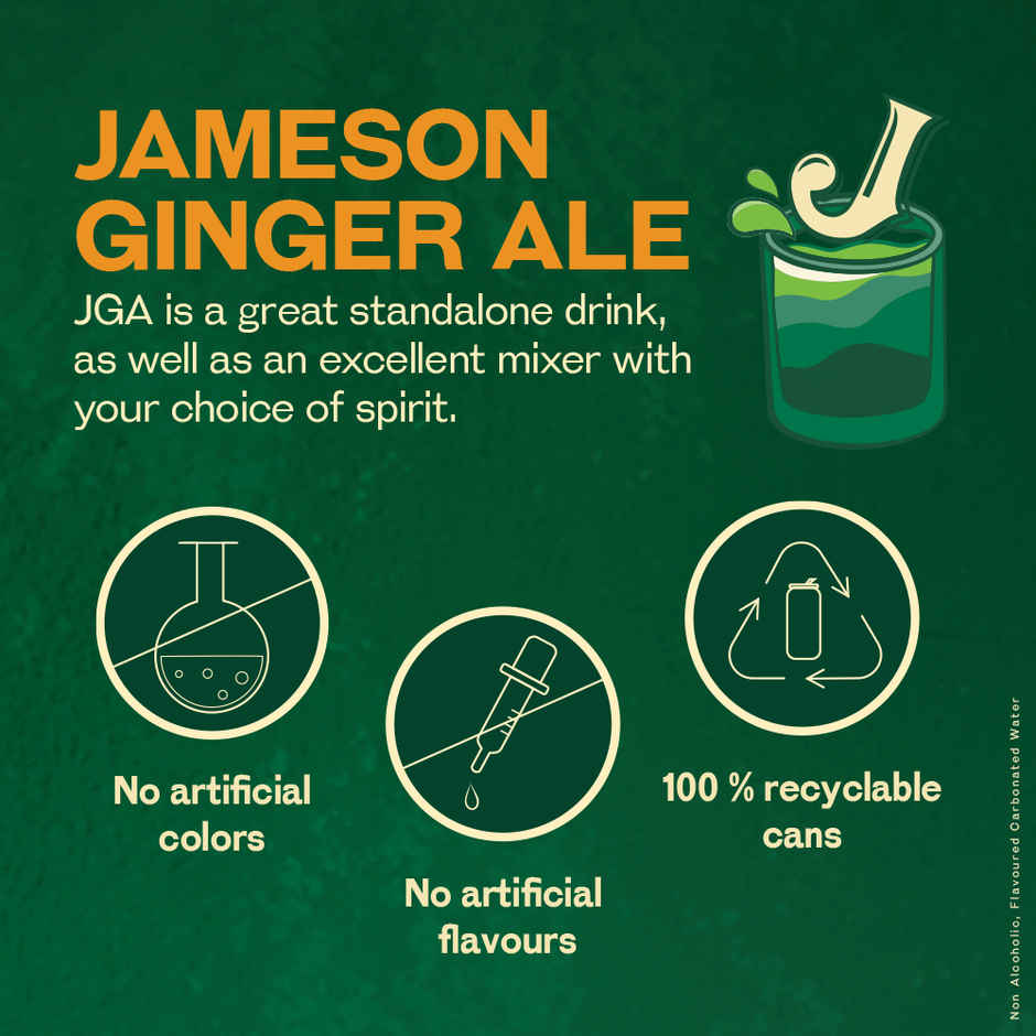 Chyll Party Ice Cubes (Tubes) | Assorted & Jameson Ginger Ale Combo